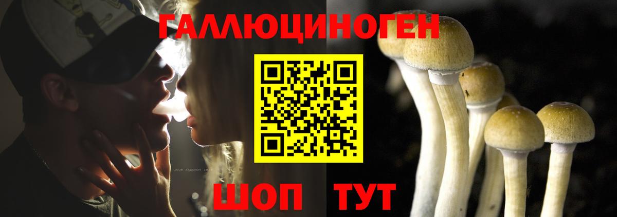 Галлюциногенные грибы мицелий  Вход с VPN  Дзержинск 